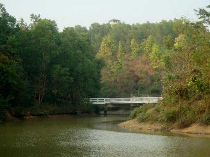 মধুটিলা ইকোপার্ক মধুটিলা ইকোপার্ক