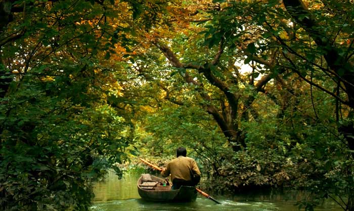 বন্ধুর যোগাযোগ: রাতারগুল ভ্রমণে আগ্রহ হারাচ্ছেন পর্যটকরা