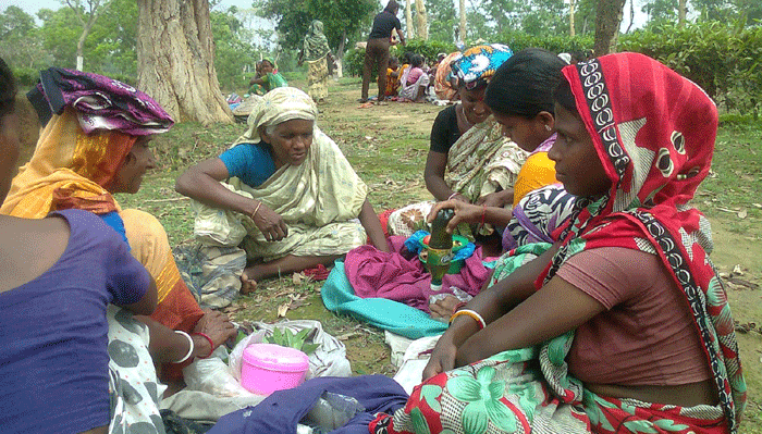 স্বাস্থ্য ঝুঁকিতে চা শ্রমিকরা স্বাস্থ্য ঝুঁকিতে চা শ্রমিকরা