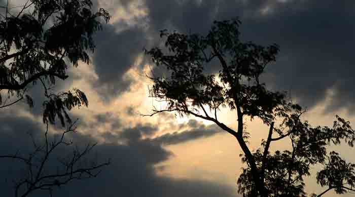 মোনুড়া মোনুড়া