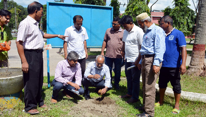 বজ্রপাতের ঝুঁকি কমাতে বাকৃবিতে তাল গাছ রোপণ