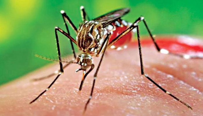 প্রসঙ্গ : ডেঙ্গু জ্বর ও করণীয় প্রসঙ্গ : ডেঙ্গু জ্বর ও করণীয়