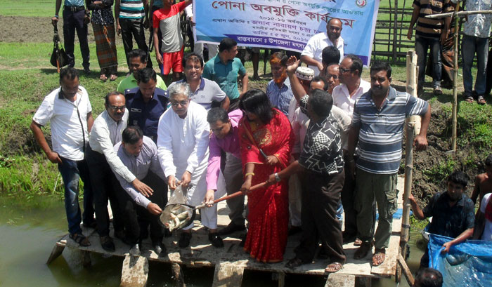 প্রতিটি জলাশয়কে মাছের অভয়ারণ্য করে তুলতে হবে: প্রতিমন্ত্রী প্রতিটি জলাশয়কে মাছের অভয়ারণ্য করে তুলতে হবে: প্রতিমন্ত্রী