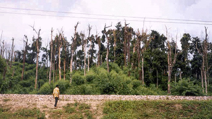 ১৯ বছরেও শুকায়নি মাগুরছড়ার ক্ষত, মেলেনি ক্ষতিপূরণ