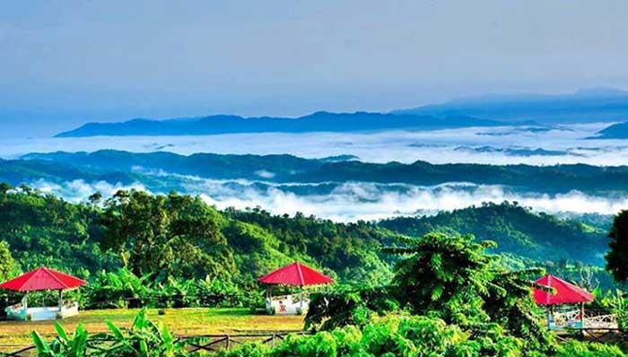 প্রাকৃতিক সৌন্দর্যের রানী সাজেক
