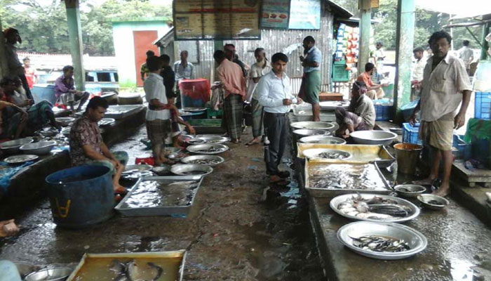 সুনামগঞ্জে বিলুপ্তির পথে মিঠা পানির মাছ সুনামগঞ্জে বিলুপ্তির পথে মিঠা পানির মাছ