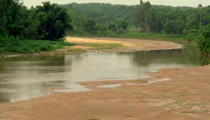 শ্রীবরদীর হাড়িয়াকোনা যেন সবুজের গালিচা বিছানো