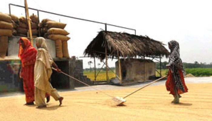 বঞ্চনার শিকার ঝিনাইদহের চাতাল শ্রমিকরা