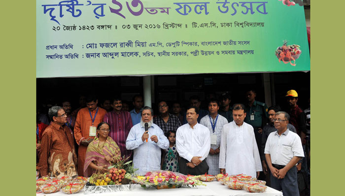 দেশীয় ফল খাওয়ার অভ্যাস গড়ে তুলুন: ডেপুটি স্পিকার