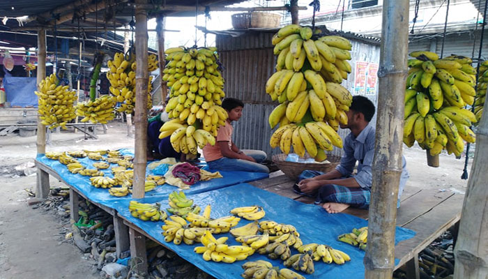 শ্রীপুরে কলা পাকাতে বিষাক্ত কেমিক্যাল, ঝুঁকিতে জনস্বাস্থ্য