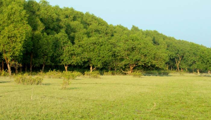 চর কুকরী-মুকরীতে হচ্ছে ইকোপার্ক চর কুকরী-মুকরীতে হচ্ছে ইকোপার্ক