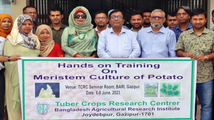 বারি’তে আলু উৎপাদনে প্রশিক্ষণ বারি’তে আলু উৎপাদনে প্রশিক্ষণ