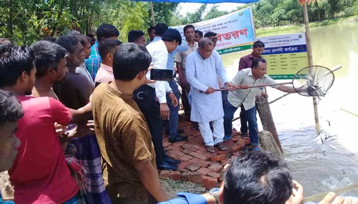 কমলগঞ্জে মৎস্য অধিদপ্তরের উদ্যোগে মাছের পোণা অবমুক্ত