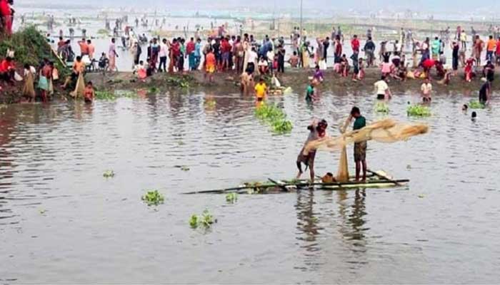 ঠাকুরগাঁও বুড়ির বাঁধে মাছ ধরা উৎসব