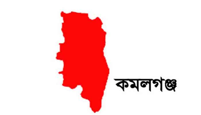 কমলগঞ্জে পিকআপ চাপায় নিহত ১: আহত ৯ কমলগঞ্জে পিকআপ চাপায় নিহত ১: আহত ৯
