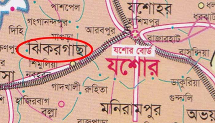 মাছের সঙ্গে এ কেমন শত্রুতা! মাছের সঙ্গে এ কেমন শত্রুতা!