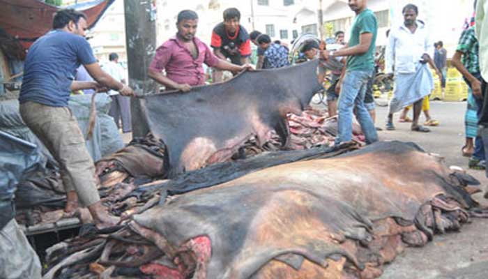 চামড়ার বাজারের ধ্বস ঠেকানো জরুরি চামড়ার বাজারের ধ্বস ঠেকানো জরুরি