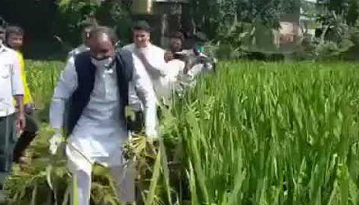 দেখবো কত আর দেখবো কত আর