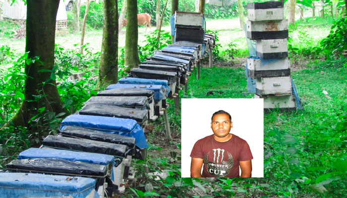 মধু চাষে স্বাবলম্বী আক্কেলপুরের আনোয়ার হোসেন মধু চাষে স্বাবলম্বী আক্কেলপুরের আনোয়ার হোসেন