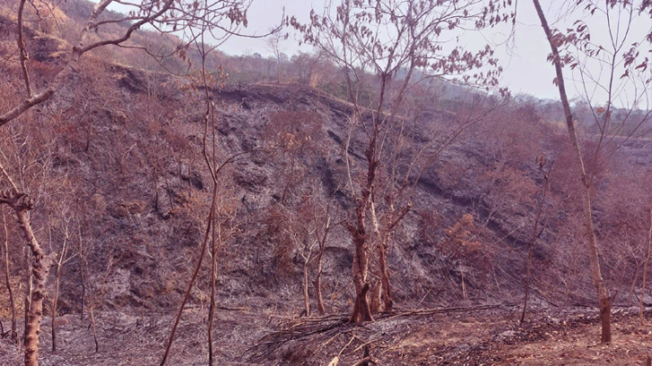 আগুনে পুড়লো পাথারিয়া বনের বিস্তীর্ণ এলাকা