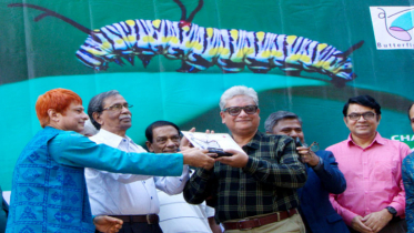 ‘প্রজাপতি মিডিয়া অ্যাওয়ার্ড’ পেলেন আ ন ম আমিনুর রহমান