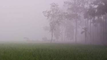 উত্তরবঙ্গে শীতের আমেজ