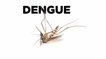 পশ্চিমবঙ্গের সব জেলায় ডেঙ্গু সতর্কতা