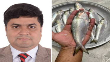 জাটকা বাঁচাও, ইলিশ বাড়াও