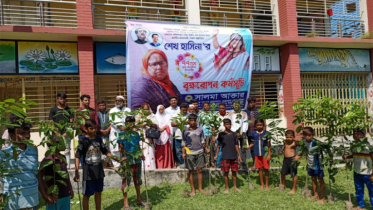 শেখ হাসিনার জন্মদিন: কেন্দুয়াতে আওয়ামীলীগ নেত্রী সালমা আক্তারের বৃক্ষরোপণ