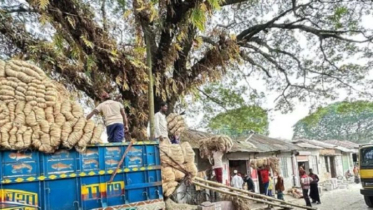 যশোরের বাঘারপাড়ার ধলগ্রাম বাজার: দেড়শ বছরের ঐতিহ্যের সাক্ষী