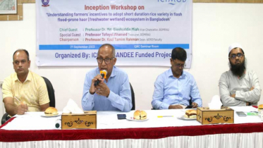 বশেমুরকৃবিতে হাওড় অঞ্চলে নতুন জাতের ধান চাষ সম্পর্কিত কর্মশালা 