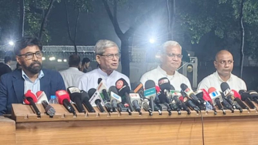 স্থানীয় নির্বাচন দলীয় প্রতীকে হবে না : মির্জা ফখরুল
