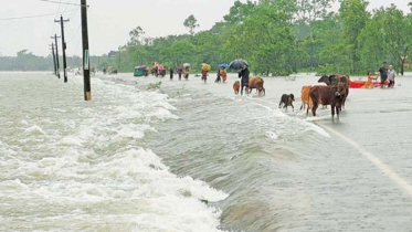 উজানের ঢলে সিলেট অঞ্চলে নদ-নদীর পানি বাড়ছে