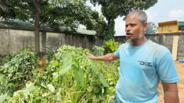 মাইলস্টোন ট্র্যাজেডি:সরকার নির্ধারিত জায়গায় দাফন করতে সম্মত হননি কেউ