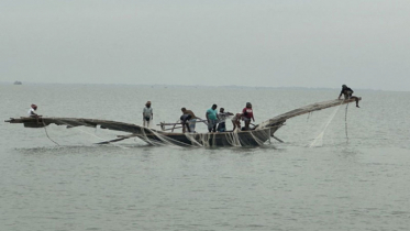 ভরা মৌসুমেও পদ্মা-মেঘনায় দেখা নেই ইলিশের