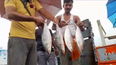 অবশেষে ভারত পৌঁছালো বাংলাদেশি ইলিশের প্রথম চালান