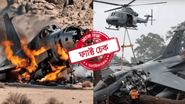 ভারতীয় যুদ্ধবিমান ধ্বংসের ভিডিওটি পুরোনো