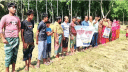 যশোরে বিএনপি পরিচয়ে ২০ চাষীর ধান লুটে নিলো দুর্বৃত্তরা