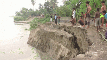 ভাঙন আতঙ্কে নির্ঘুম রাত কাটছে নদী তীরবর্তী মানুষের