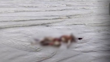 কুয়াকাটা সৈকতে ভেসে এলো অর্ধগলিত মরদেহ : জানা যায়নি পরিচয়