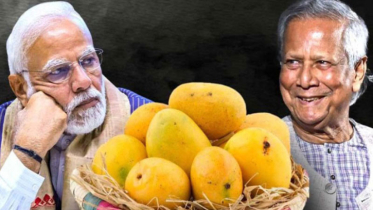 মোদিকে আম পাঠাচ্ছেন প্রধান উপদেষ্টা