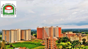 নজরুল বিশ্ববিদ্যালয় ছাত্রলীগ ও আওয়ামীপন্থি শিক্ষকসহ ২১০ জনের বিরু