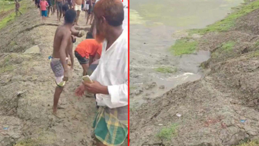 গরুর ঘাস খাওয়াকে কেন্দ্র করে দুই পক্ষে সংঘর্ষ : গুলিবিদ্ধ ৬