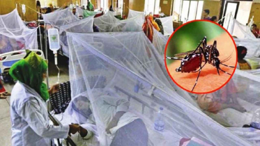 ডেঙ্গুতে আরও ৭ জনের মৃত্যু