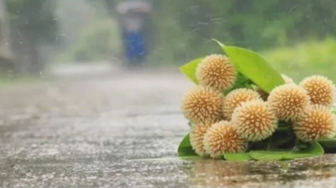 আজ আষাঢ়ের প্রথম দিন