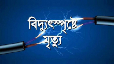 বিদ্যুৎস্পৃষ্টে ৬ জনের মৃত্যু, পল্লীবিদ্যুতের ৪ জনের বিরুদ্ধে ব্যবস্থা