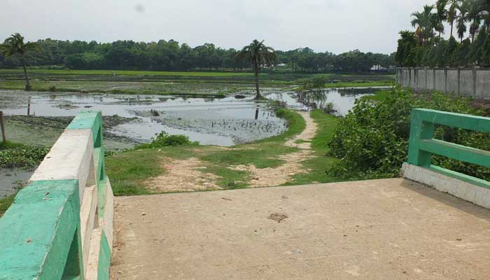 সেতু আছে সড়ক নাই: দুর্ভোগে দুই গ্রামের বাসিন্দারা