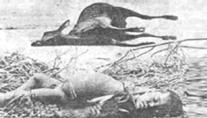 ১২ নভেম্বর : উপকূলবাসী আজো ভোলেনি ভয়াল সেই স্মৃতি ১২ নভেম্বর : উপকূলবাসী আজো ভোলেনি ভয়াল সেই স্মৃতি