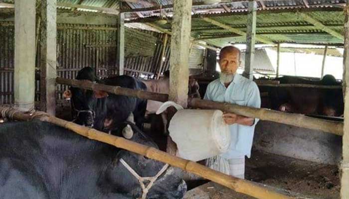 স্কুলের প্রধান শিক্ষক যখন গরুর খা‌মা‌রের কর্মচা‌রি!