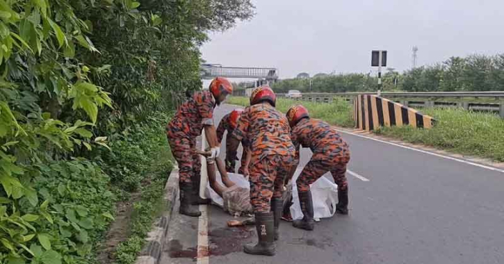 ঢাকা-মাওয়া এক্সপ্রেসওয়ের পাশে অজ্ঞাত ব্যক্তির মরদেহ উদ্ধার